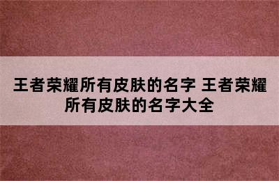 王者荣耀所有皮肤的名字 王者荣耀所有皮肤的名字大全